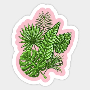 Tropical palm leaves Sticker